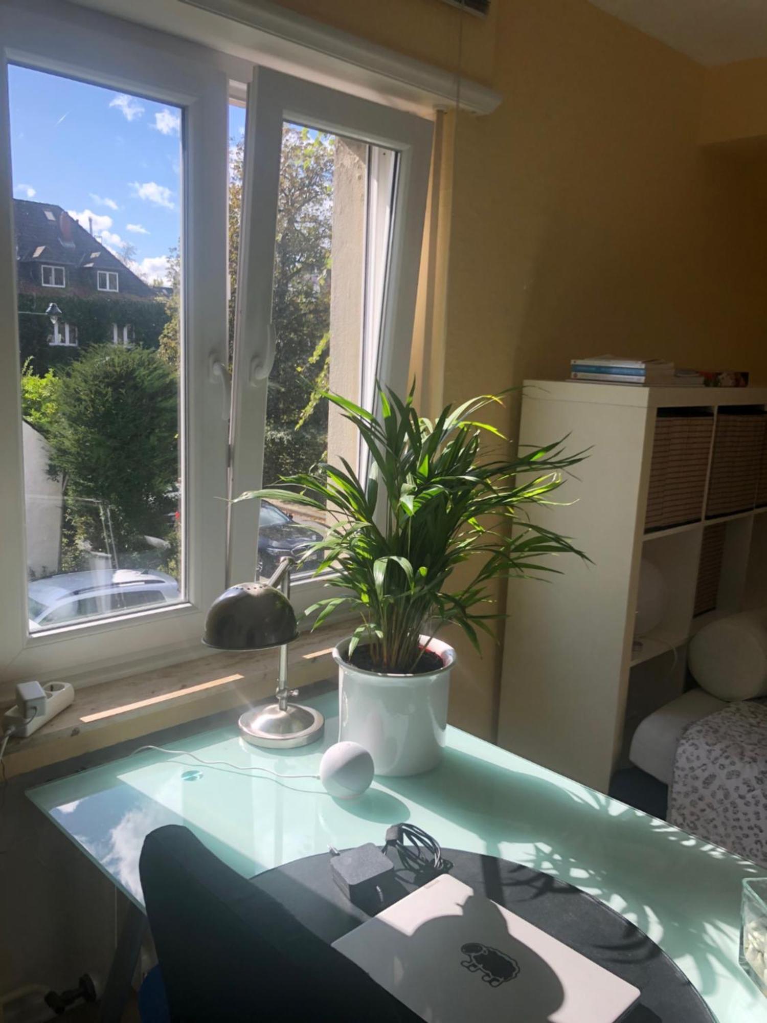 Apartamento Glueck In Benrath Düsseldorf Exterior foto
